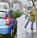 Der Weihnachtsbaum sollte beim Transport richtig gesichert werden. Foto: Auto-Reporter